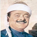 Nasri shams aldin